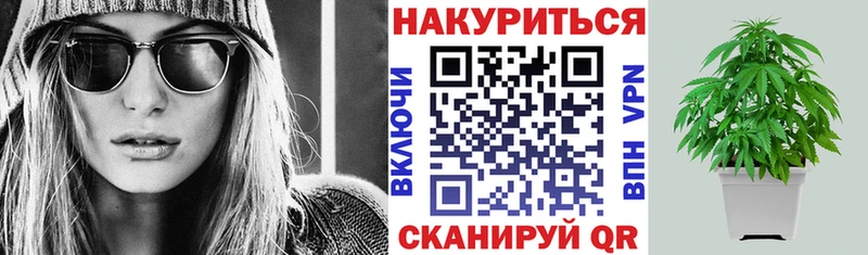Бошки Шишки ГИДРОПОН  Глазов 